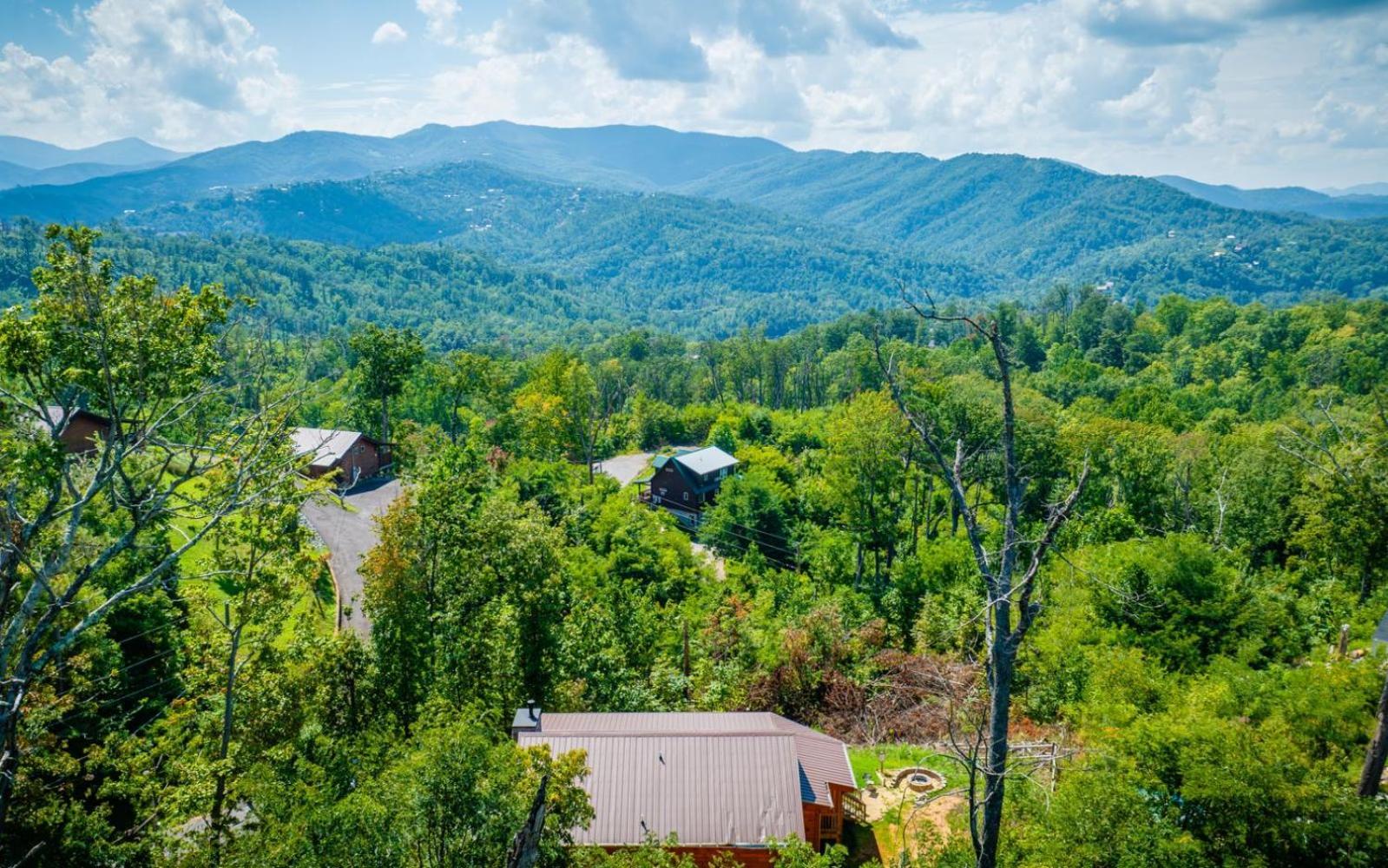 Lifes A Bear Villa Gatlinburg Exteriör bild